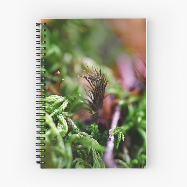 Item preview, Small plant comes to life designed and sold by ODENWALD-Natur.