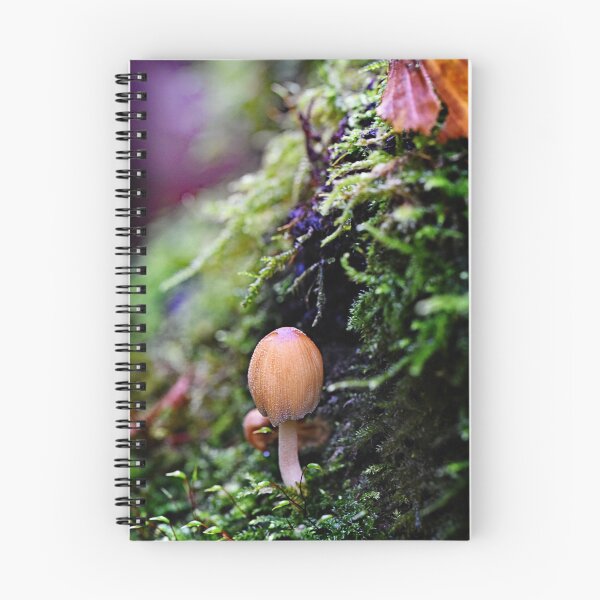 Item preview, Forest mushroom in the moss bed designed and sold by ODENWALD-Natur.