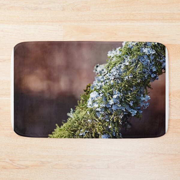 Item preview, Tree lichen designed and sold by ODENWALD-Natur.