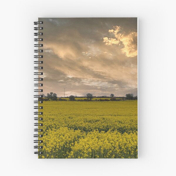 Item preview, Rapeseed field ,carpet of gold designed and sold by kathleenjean.