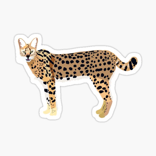 S is for Serval Sticker