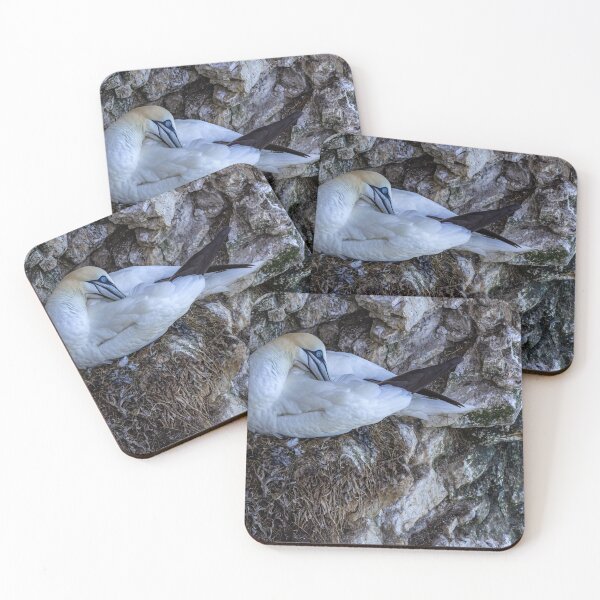 Item preview, Northern Gannet designed and sold by grumpykeith.
