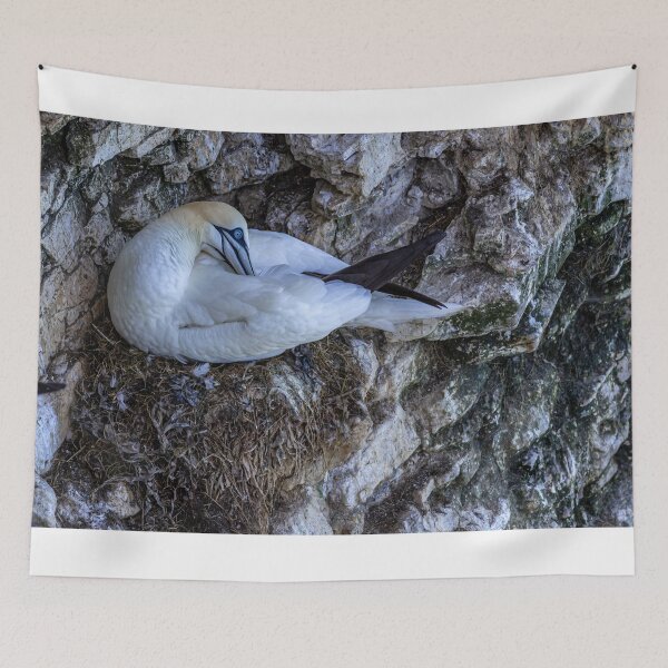 Item preview, Northern Gannet designed and sold by grumpykeith.