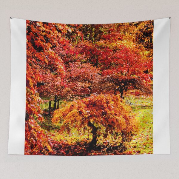 Item preview, Autumn Acer Tree Westonbirt Arboretum Cotswolds Gloucestershire designed and sold by AndyEvansPhotos.