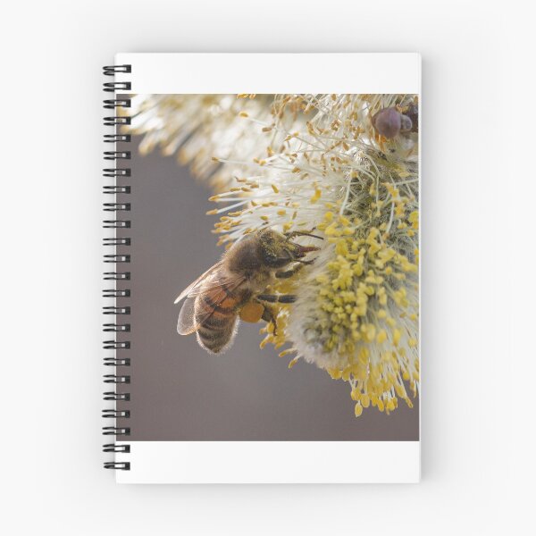 Item preview, Closeup of a bee designed and sold by pietrofoto.