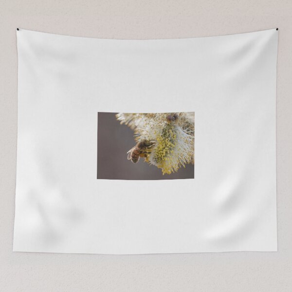 Item preview, Closeup of a bee designed and sold by pietrofoto.