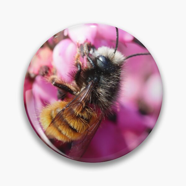 Item preview, European orchard bee on heather designed and sold by elbdot.
