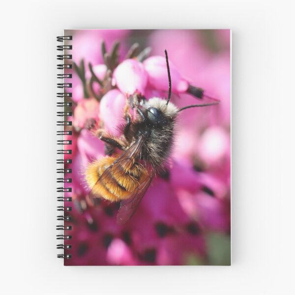 Item preview, European orchard bee on heather designed and sold by elbdot.
