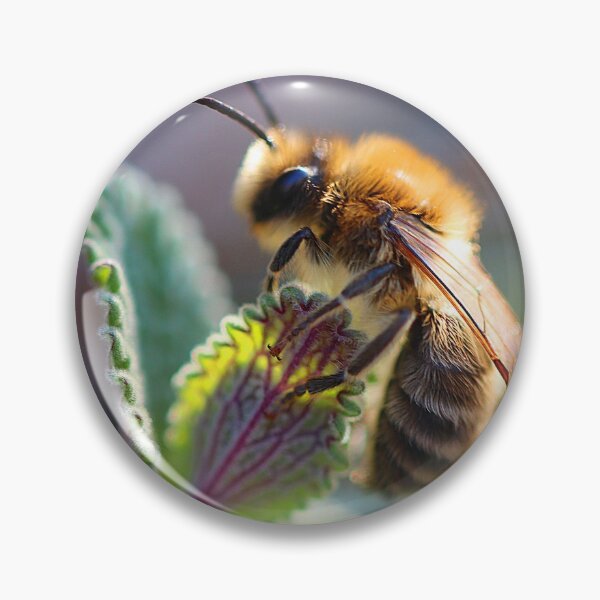 Item preview, Spring Mining Bee on Mint designed and sold by elbdot.