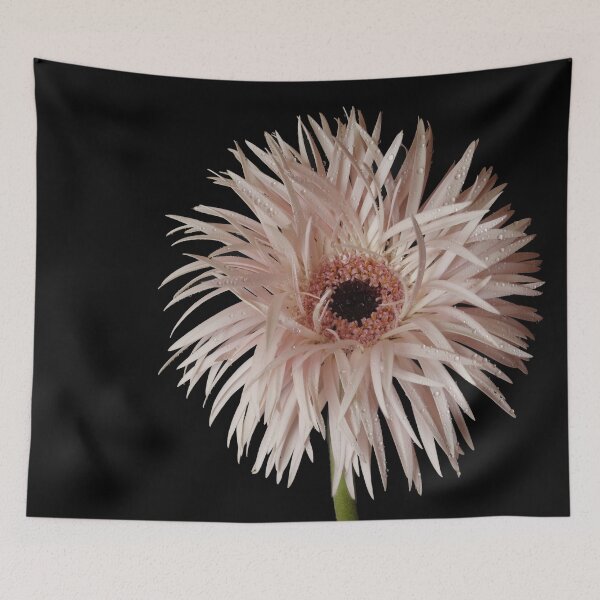 Item preview, Gerbera Spider designed and sold by Mythos57.