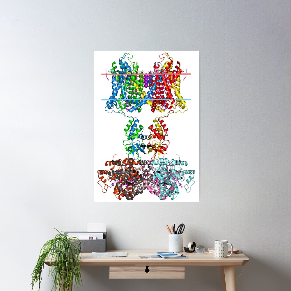 This giant biological molecule is an ion channel Poster
