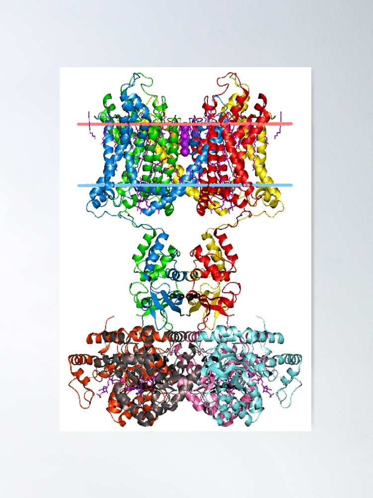 Alternate view of This giant biological molecule is an ion channel Poster