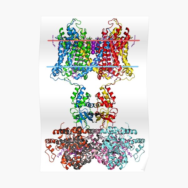 This giant biological molecule is an ion channel Poster