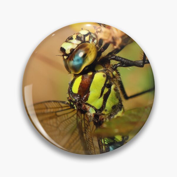 Item preview, Dragonfly in fall designed and sold by elbdot.