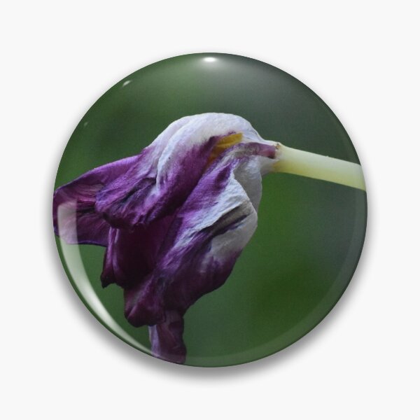 Item preview, Somewhere in between designed and sold by Tonia Delozier's Photography .
