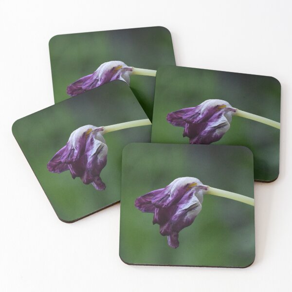 Item preview, Somewhere in between designed and sold by Tonia Delozier's Photography .