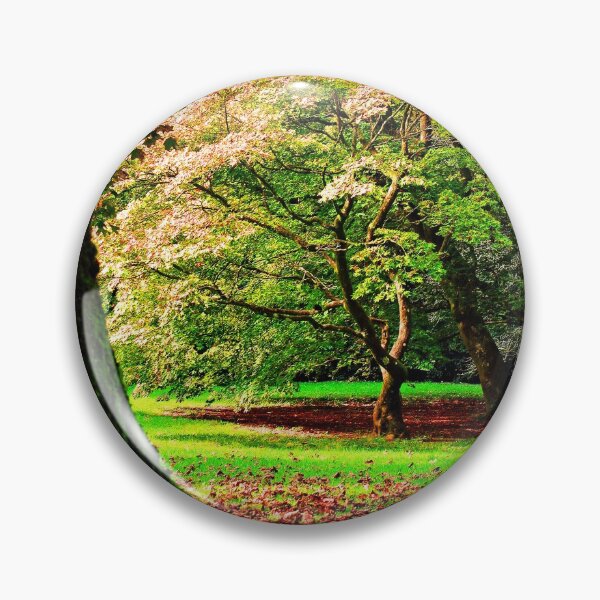 Item preview, Autumn Acer Tree Westonbirt Arboretum Cotswolds Gloucestershire designed and sold by AndyEvansPhotos.