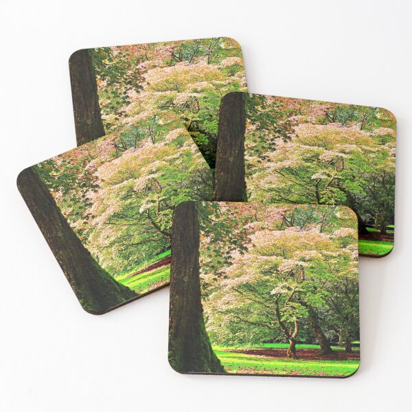 Item preview, Autumn Acer Tree Westonbirt Arboretum Cotswolds Gloucestershire designed and sold by AndyEvansPhotos.