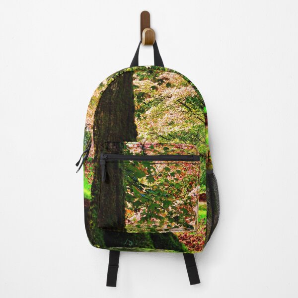 Item preview, Autumn Acer Tree Westonbirt Arboretum Cotswolds Gloucestershire designed and sold by AndyEvansPhotos.