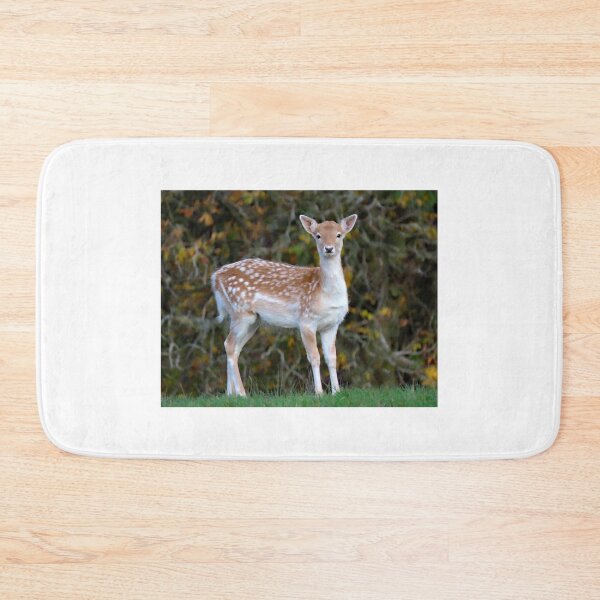 Item preview, A Beautiful Fallow Deer designed and sold by Karen Thomson.