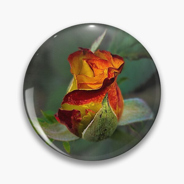 Artikelvorschau, Ausstrahlende Rosebud-Schönheit entworfen und verkauft von alabca.
