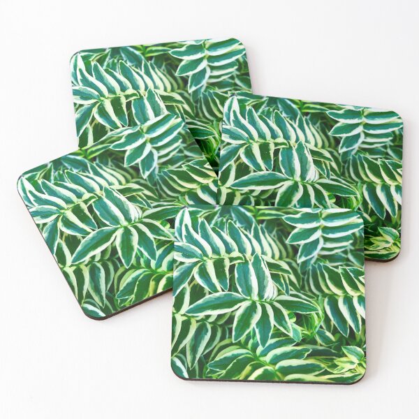 Item preview, Jacobs Ladder Plant Leaves designed and sold by PRNTDADZ.