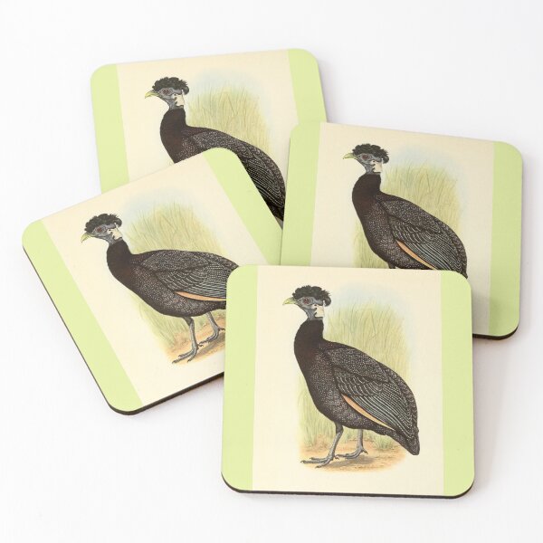 Item preview, Rare Crested Guinea Fowl designed and sold by laguitan10.