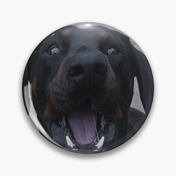 Item preview, Derek the Doberman catching a biscuit designed and sold by Holmewood.