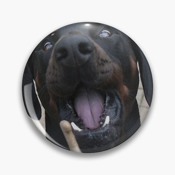 Item preview, Derek the Doberman designed and sold by Holmewood.