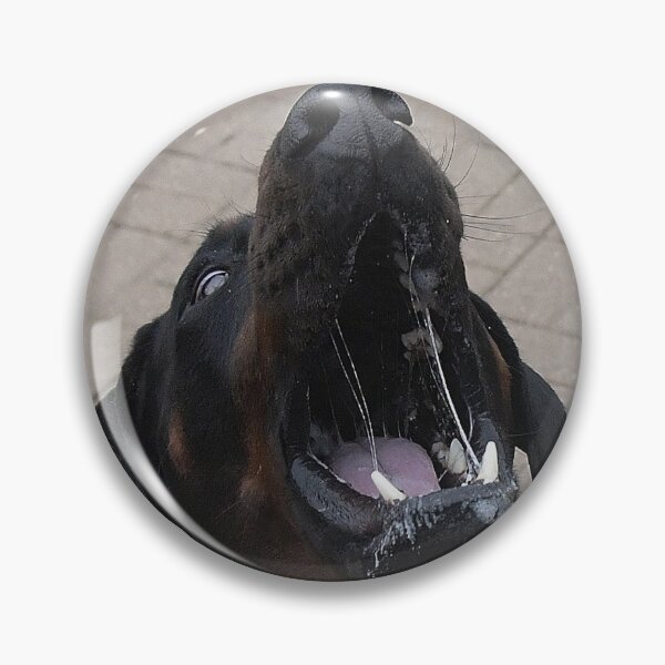 Item preview, Derek catching a biscuit designed and sold by Holmewood.