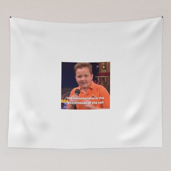 Item preview, Teacher Gibby - iCarly  | Gift shirt designed and sold by gibbynan.
