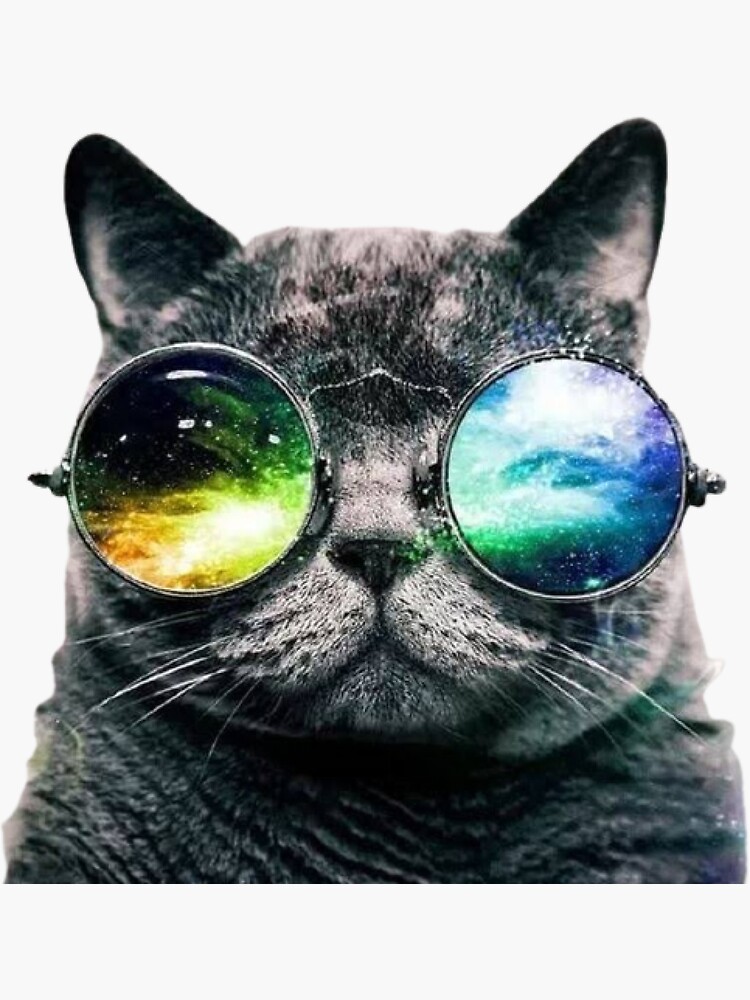  Funny Cat DJ Kitty Pet with Sunglasses for Cat Music lovers T- Shirt : Clothing, Shoes & Jewelry