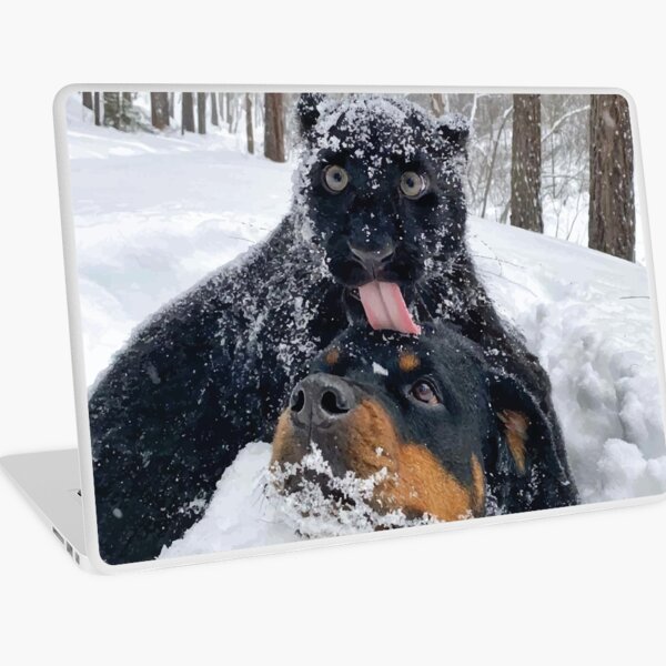 Item preview, Panthère noire et Rottweiler dans la neige designed and sold by Emil1993.