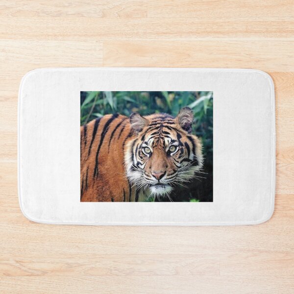 Item preview, A Fabulous Bengal Tiger designed and sold by Karen Thomson.