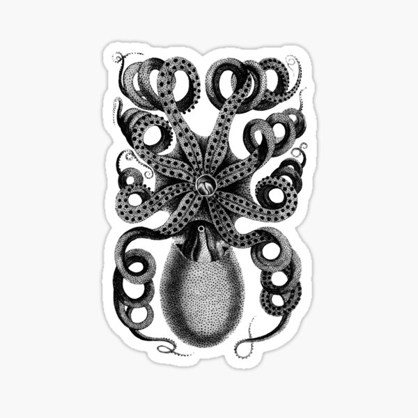 Octopus Sticker