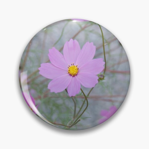 Item preview, Tender cosmos designed and sold by vfphoto.
