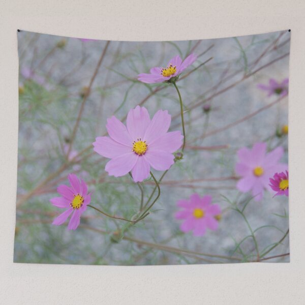 Item preview, Tender cosmos designed and sold by vfphoto.