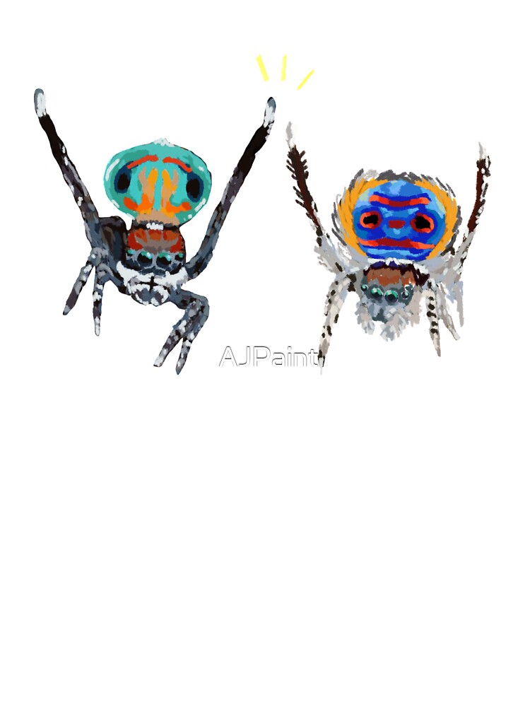 Jumping Spider T-Shirt, Cute Spider Kids Bug Catcher Shirt Jumping Spider T-Shirt, Cute Spider Kids Bug Catcher Shirt