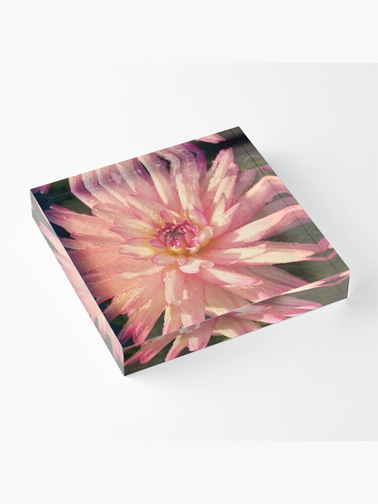 Alternate view of Gift for Gardener - Dazzling Pink Dahlia Acrylic Block