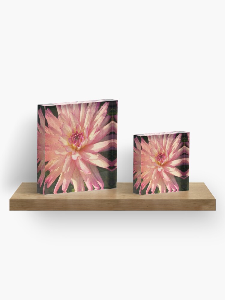 Alternate view of Gift for Gardener - Dazzling Pink Dahlia Acrylic Block