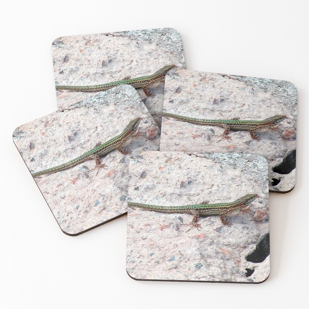 Item preview, Coasters (Set of 4) designed and sold by tomg.
