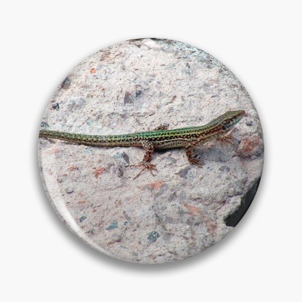 Item preview, Lizard designed and sold by tomg.