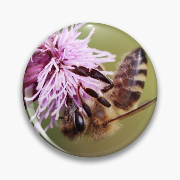 Item preview, Honey bee on thistle designed and sold by elbdot.