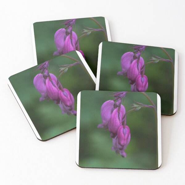 Item preview, Dicentra formosa designed and sold by Anita van Gendt.