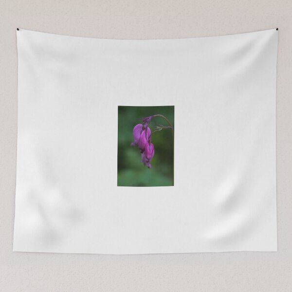 Item preview, Dicentra formosa designed and sold by Anita van Gendt.