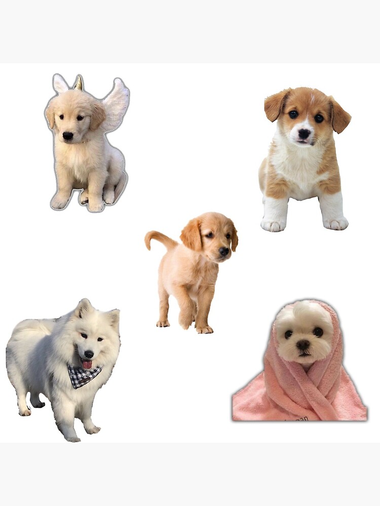 "Cute 5 dogs sticker pack" Art Print for Sale by shravanii Redbubble