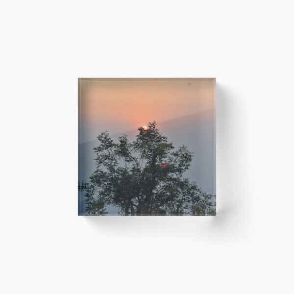 Item preview, Trees designed and sold by redeemer77.