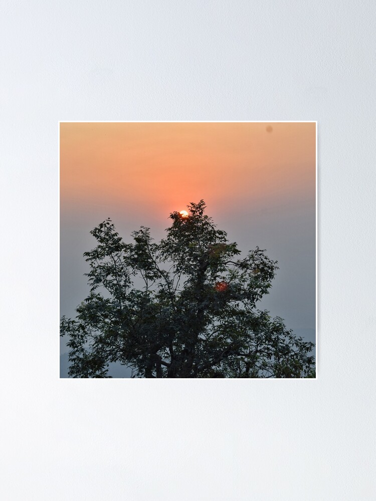 Thumbnail 1 of 3, Poster, Trees designed and sold by redeemer77.