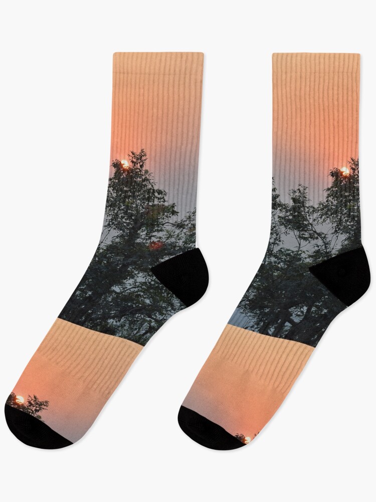 Thumbnail 1 of 5, Socks, Trees designed and sold by redeemer77.
