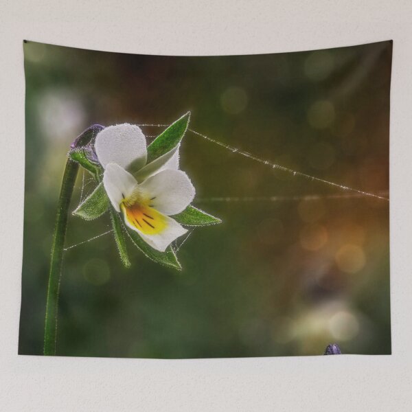 Item preview, Viola arvensis designed and sold by Veikko  Suikkanen.